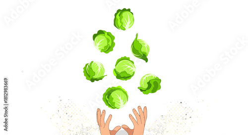 Fresh Cabbage Being Manipulated By Human Hands Against a Deep Black Background.