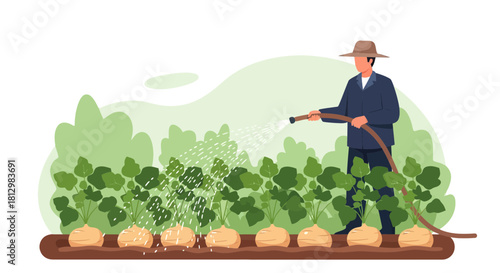 Farmer Watering Harvested Crops With A Hose Amid Vibrant Garden Environment