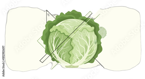 Fresh Cabbage Artwork Against Geometric Shapes For Culinary and Vegetarian Themes