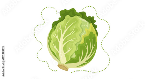Fresh Cabbage Isolated on A Black Background Decorated with A Decorative Element