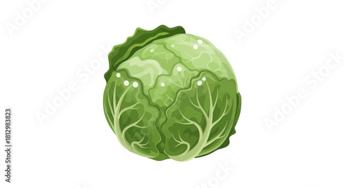 Fresh Cabbage Isolated On A Black Background, Perfect For Dietary Content