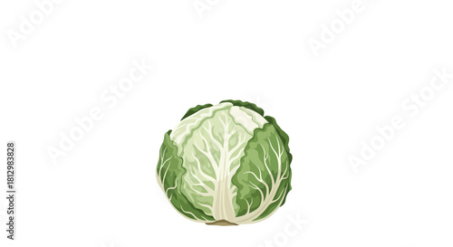 Fresh Cabbage Isolated on A Black Background Presenting Healthy Vegetable Concept