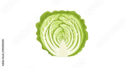 Fresh Cabbage Isolated On A Dark Background With Highly Detailed Internal View