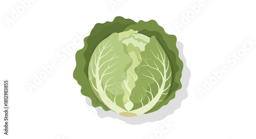 Fresh Cabbage Isolated on Black Background Depicting Healthy Eating Habits And Vegan Cuisine