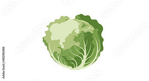 Fresh Cabbage Isolated on Black Background for Healthy Eating and Nutrition Concepts