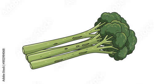Fresh Cartoon Broccoli Illustration Against a Black Backdrop for Digital Design