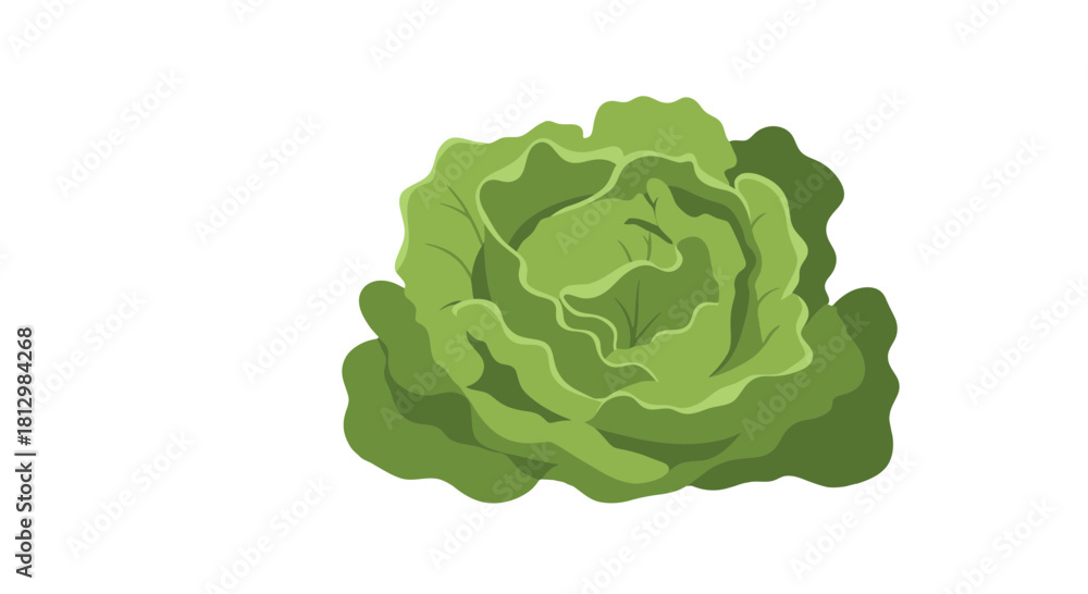 Obraz premium Fresh Green Cabbage Isolated On Black Background, Digital Illustration and Concept