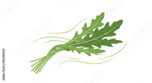 Fresh Arugula Bunch Illustrative Art Against a Sophisticated Black Background
