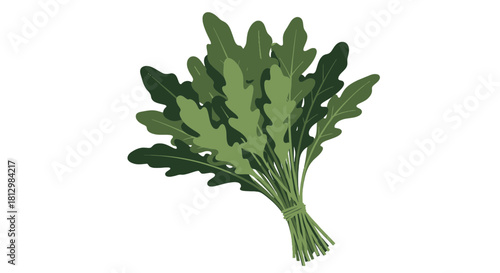Fresh Arugula Bunch Isolated On Black Background, Healthy Green Leaves Concept