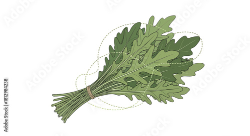 Fresh Arugula Bunch Presentation Against Black: Aromatic Salad Greens Illustration