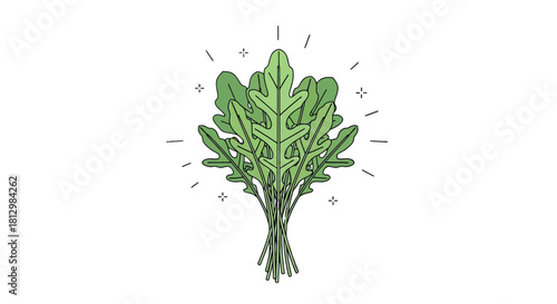 Fresh Arugula Bunch Presentation On Black Background For Health Focused Designs