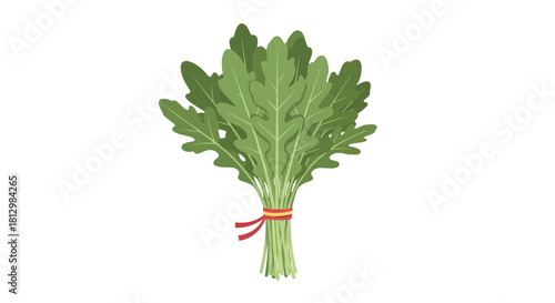 Fresh Arugula Bunch Presentation With Dark Backdrop for Culinary and Healthy Concepts