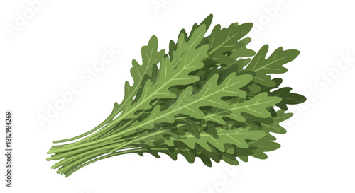 Fresh Arugula Bunch Presentation On Deep Black Background Artistic Culinary Imagery