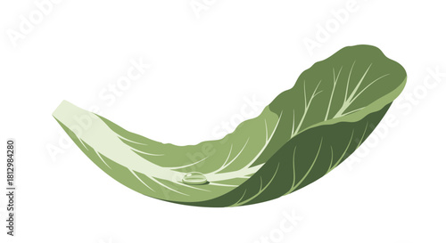 Fresh Green Leaf With Dewdrop, A Simple Illustration of Naturalism on Black Background