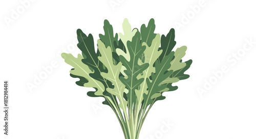 Fresh Arugula Illustration Against Black Backdrop Suitable For Culinary And Design Projects