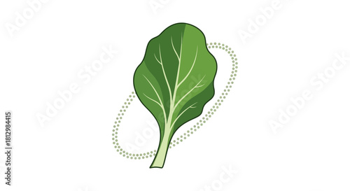 Fresh Green Leafy Vegetable With Unique Dot Design, Isolated On Black Background