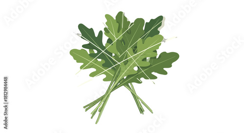 Fresh Arugula Illustration Against Black Background for Creative, Healthy Themes