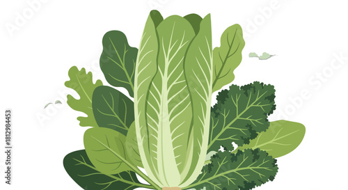 Fresh Green Leafy Vegetables Displayed Against a Dark Background Illustration