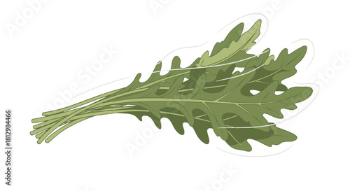 Fresh Arugula Illustration Against Black Background Perfect for Culinary and Dietary Use