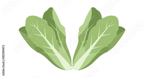 Fresh Green Leaves Arrangement Against a Dark Backdrop for Dietary and Decorative Purposes