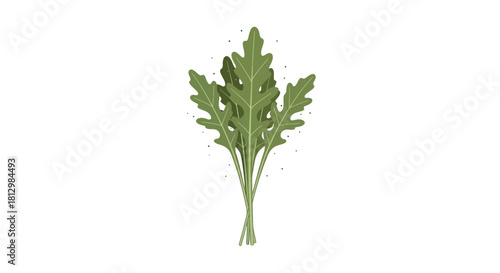Fresh Arugula Illustration Isolated On Black, Perfect For Healthy Eating Concepts