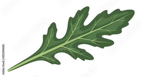 Fresh Arugula Leaf Isolated On Black Background, Botanical Illustration Of Greens