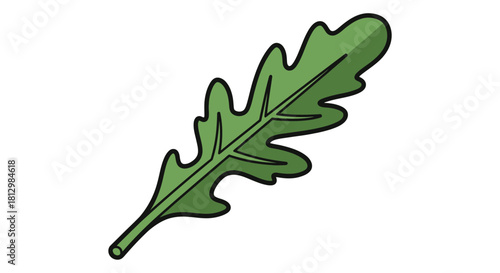 Fresh Arugula Leaf Isolated on Black Background Ideal for Culinary and Botanical Themes