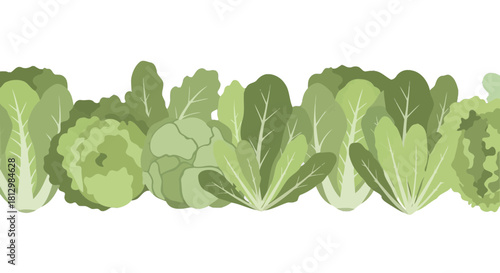 Fresh Green Vegetables Arranged On Black Background Suitable For Design
