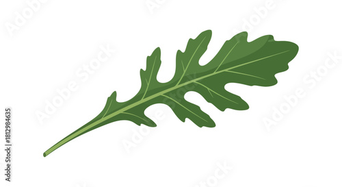 Fresh Arugula Leaf Isolated On Black Background, Healthy Greenery Food Illustration