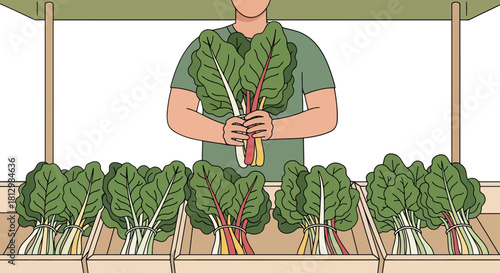 Fresh Greens Farmer's Market Display Featuring Colorful Chard and Healthy Produce