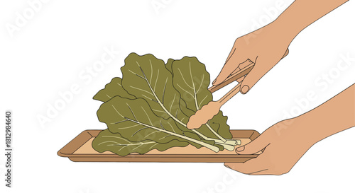 Fresh Greens Placed On Tray With Tongs Showing Hand's Care In Preparation