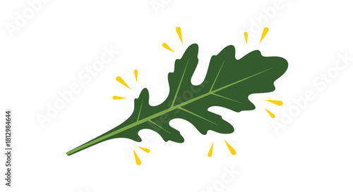Fresh Arugula Leaf Surrounded By Sparkling Yellow Accents On A Black Backdrop