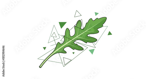 Fresh Arugula Leaf With Geometric Abstract Background for Culinary or Healthy Themes