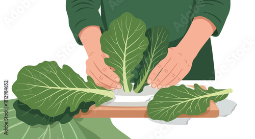 Fresh Greens Harvest: Person Arranging Organic Leafy Vegetables for Culinary Preparation