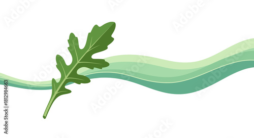 Fresh Arugula Leaf With Green Waves Against A Black Background Design Composition