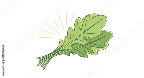 Fresh Arugula Leaves: A Vibrant Illustration on a Dark Background