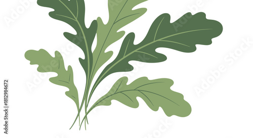 Fresh Arugula Leaves Against Black Background Showcasing Organic Greenery in A Minimalist Style