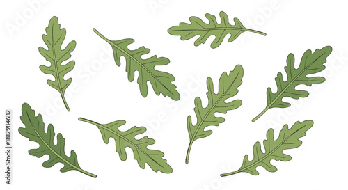 Fresh Arugula Leaves Artfully Arranged On A Dark Background For Design Purposes and Usage