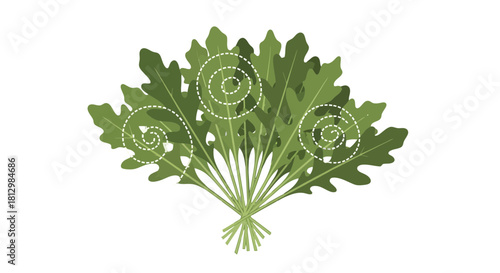 Fresh Illustrative Abstract Arugula on Black Background with Decorative Swirls