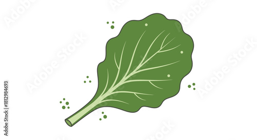 Fresh Illustrative Kale Leaf Displayed On Flat Black Backdrop With Fine Graphic Detailing
