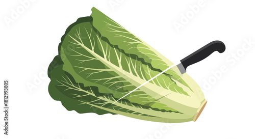 Fresh Lettuce Being Sliced With A Knife Isolated On Black Background, Healthy Concept