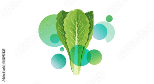 Fresh Lettuce Creation Surrounded By Abstract Green And Teal Circular Designs On Black