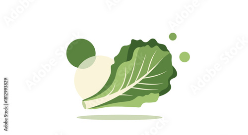 Fresh Lettuce Creation: Vibrant Green Illustration on a Sleek Black Background