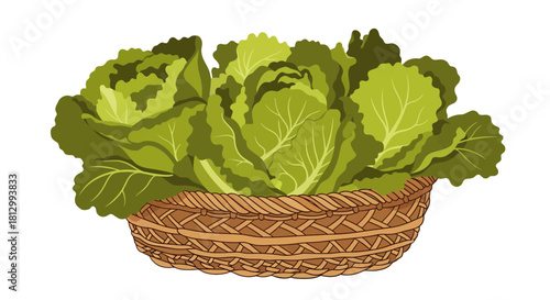 Fresh Lettuce Harvest Inside a Wicker Basket Set Against a Stark Black Background