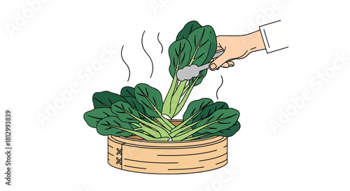 Fresh Spinach Being Placed Inside a Bamboo Steamer Using Tongs in Illustration