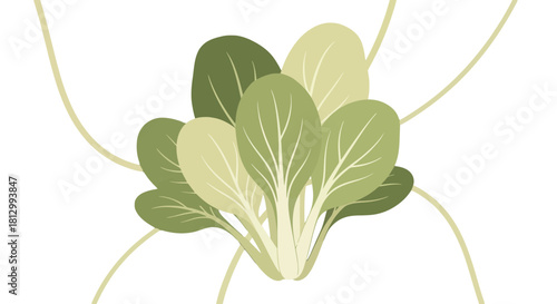 Fresh Spinach Leaves Against a Dramatic Black Backdrop Illustration for Designers Use