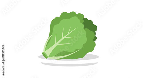 Fresh Lettuce Head On A White Plate Against An Isolated Black Background