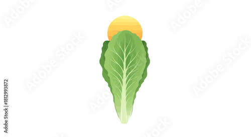 Fresh Lettuce Illuminated By A Bright Orange Orb In A Dark, Isolated Backdrop