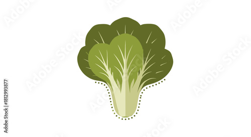 Fresh Lettuce Illustration on Black Background For Healthy Eating and Nutritional Concepts
