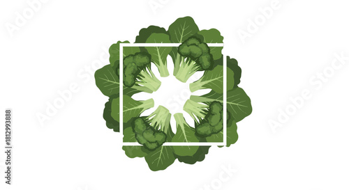 Fresh Vegetables Arrangement Inside a Square Isolated on a Black Background, Healthy Food